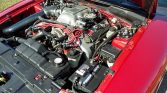 4th gen red 1998 Ford Mustang Cobra 5spd manual For Sale