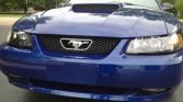 4th generation Royal Blue 2003 Ford Mustang V8 For Sale