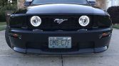 Black 2009 Ford Mustang GT V8 California Special For Sale