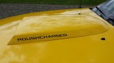 5th gen yellow 2006 Ford Mustang GT Premium 5spd For Sale