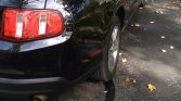 5th gen black 2010 Ford Mustang Premium convertible For Sale
