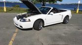 White original 2004 Ford Mustang Cobra convertible For Sale