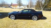 2008 Ford Mustang GT Premium 5spd convertible For Sale