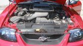 Torch Red Clearcoat 2003 Ford Mustang Mach 1 5spd For Sale