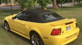 Yellow 2003 Ford Mustang GT 5spd convertible For Sale