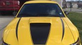 4th gen yellow 2004 Ford Mustang GT 5spd manual For Sale
