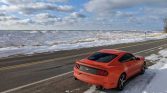 6th gen Competition Orange 2015 Ford Mustang EcoBoost For Sale