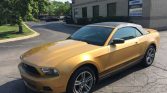 5th gen Amber Gold Metallic 2010 Ford Mustang Premium For Sale
