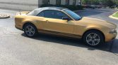 5th gen Amber Gold Metallic 2010 Ford Mustang Premium For Sale