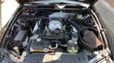 5th generation black 2008 Ford Mustang Shelby GT500 For Sale