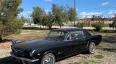 1st gen black 1965 Ford Mustang Indy 500 Pace Car For Sale