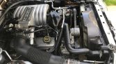 3rd gen Oxford White 1988 Ford Mustang GT 5spd manual For Sale