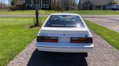 3rd gen white 1984 Ford Mustang 5spd manual V8 For Sale