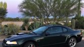 4th gen Dark Highland Green 2001 Ford Mustang Bullitt For Sale
