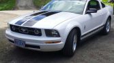 5th generation white 2007 Ford Mustang V6 manual For Sale