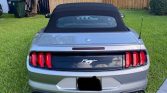 6th gen 2020 Ford Mustang Ecoboost Premium automatic For Sale