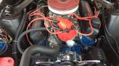 1st gen Calypso Coral 1969 Ford Mustang Grande For Sale