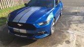 6th gen Blue Lightning 2017 Ford Mustang EcoBoost For Sale