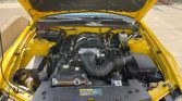 5th gen Screaming Yellow 2006 Ford Mustang GT Premium For Sale