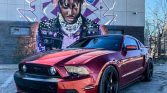 5th gen 2014 Ford Mustang 6spd manual 5.0 V8 For Sale