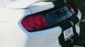 6th gen white 2019 Ford Mustang GT 6spd manual For Sale