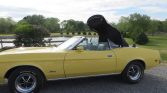 1st gen yellow 1973 Ford Mustang convertible For Sale