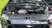 6th gen black 2019 Ford Mustang GT PP2 6spd manual For Sale