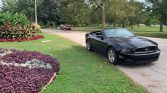 5th gen black 2014 Ford Mustang convertible V6 For Sale