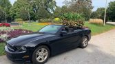5th gen black 2014 Ford Mustang convertible V6 For Sale