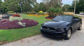 5th gen black 2014 Ford Mustang convertible V6 For Sale