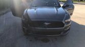 6th generation 2015 Ford Mustang EcoBoost 6spd For Sale