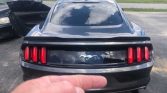 6th generation 2015 Ford Mustang EcoBoost 6spd For Sale