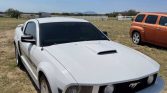 5th gen white 2008 Ford Mustang GT Premium manual For Sale