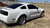5th gen white 2008 Ford Mustang GT Premium manual For Sale