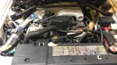 4th gen 1994 Ford Mustang GT convertible manual For Sale