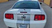 5th gen 2007 Ford Mustang GT Shelby 5spd manual For Sale