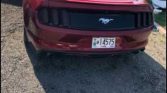 6th gen 2016 Ford Mustang Ecoboost Premium manual For Sale