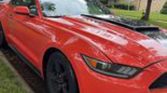 6th generation 2015 Ford Mustang V6 automatic For Sale