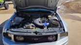 5th generation 2006 Ford Mustang GT automatic For Sale