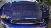 5th gen blue 2014 Ford Mustang 6spd manual For Sale