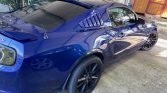 5th gen blue 2014 Ford Mustang 6spd manual For Sale