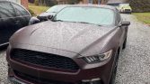6th gen 2015 Ford Mustang EcoBoost 6spd manual For Sale