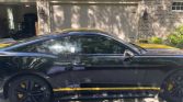 6th gen 2015 Ford Mustang EcoBoost Premium 50th Anniversary For Sale