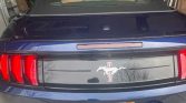 6th gen Kona Blue Metallic 2019 Ford Mustang EcoBoost For Sale