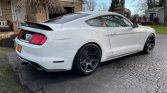 6th gen white 2015 Ford Mustang EcoBoost 6spd manual For Sale