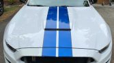 6th gen 2018 Ford Mustang Shelby GT350 low miles For Sale