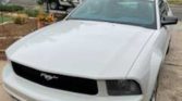 5th gen white 2005 Ford Mustang Deluxe coupe For Sale