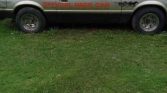 3rd gen 1979 Ford Mustang Pace Car 4spd manual For Sale