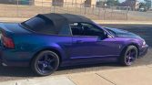 4th gen Mystichrome 2004 Ford Mustang Cobra convertible For Sale